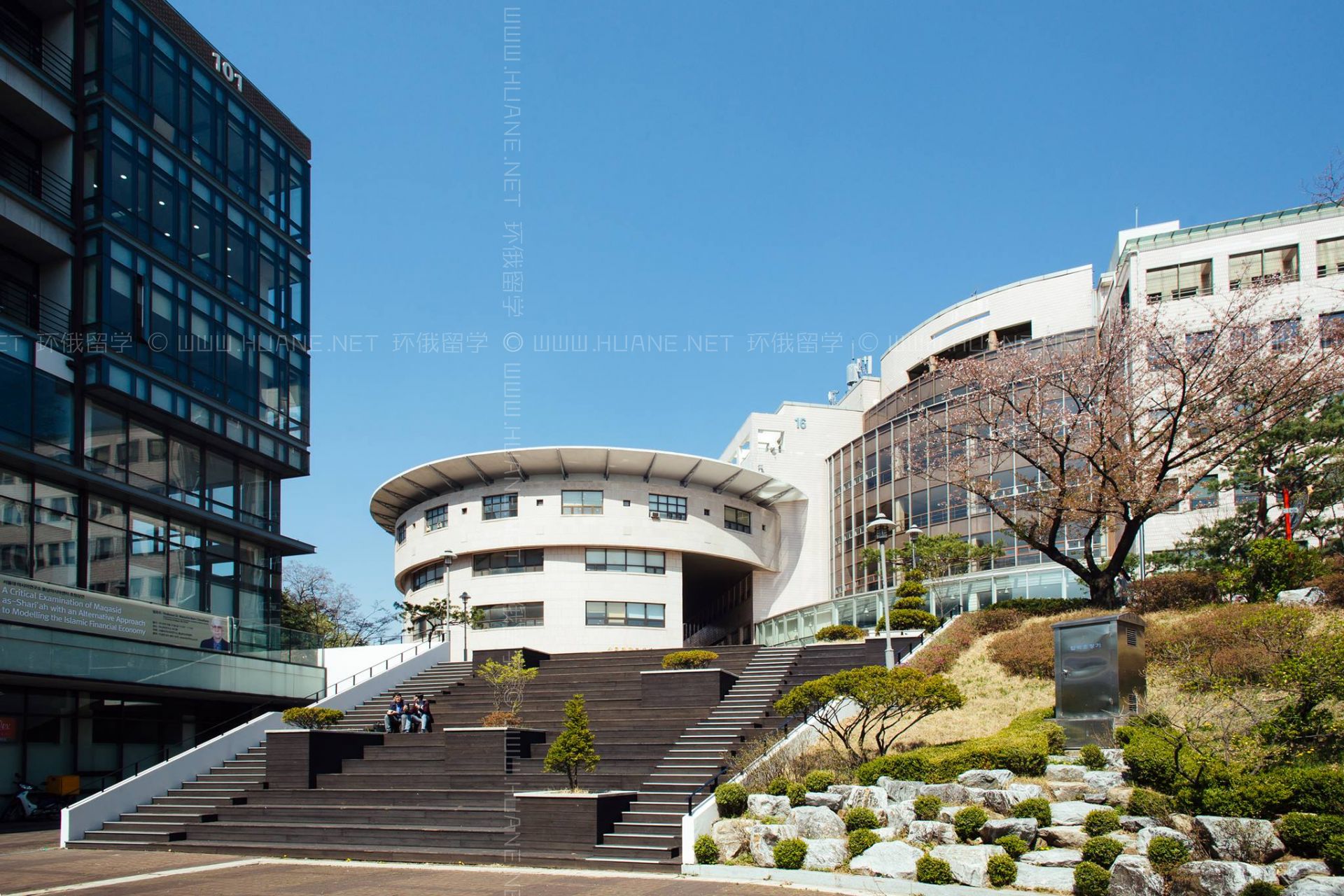 首爾國立大學(xué)