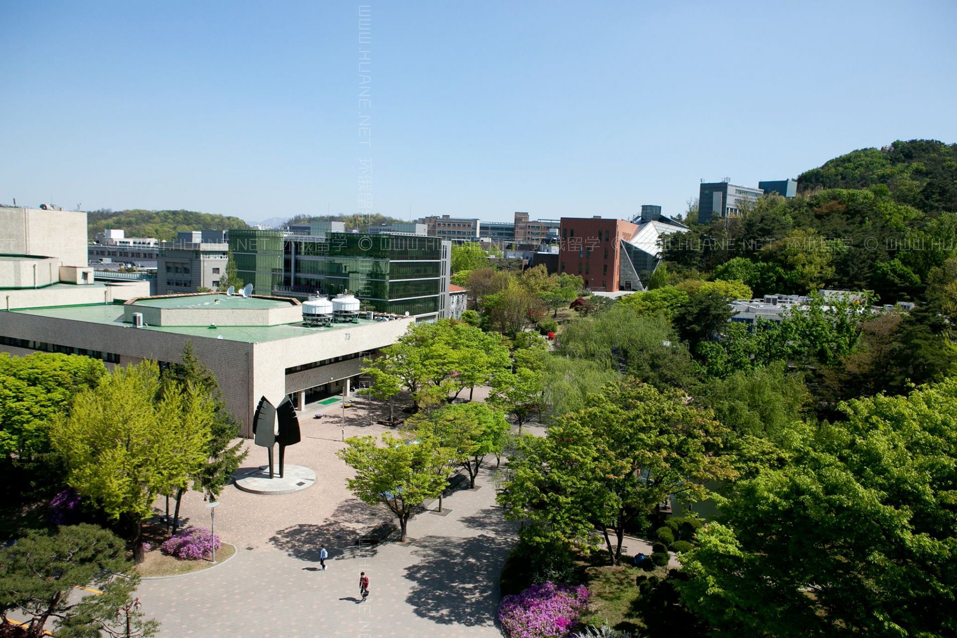 首爾國立大學(xué)