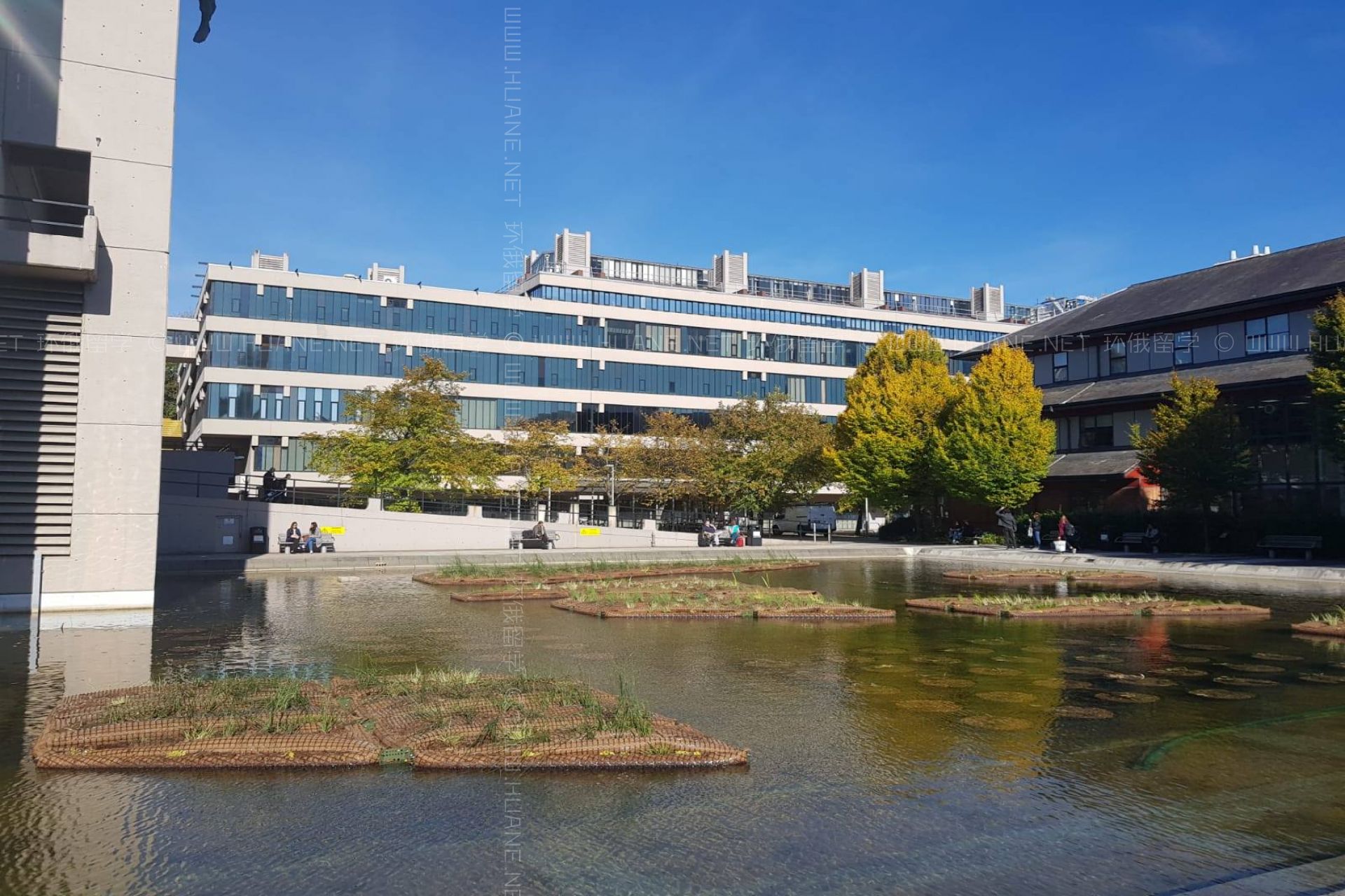 利茲大學
