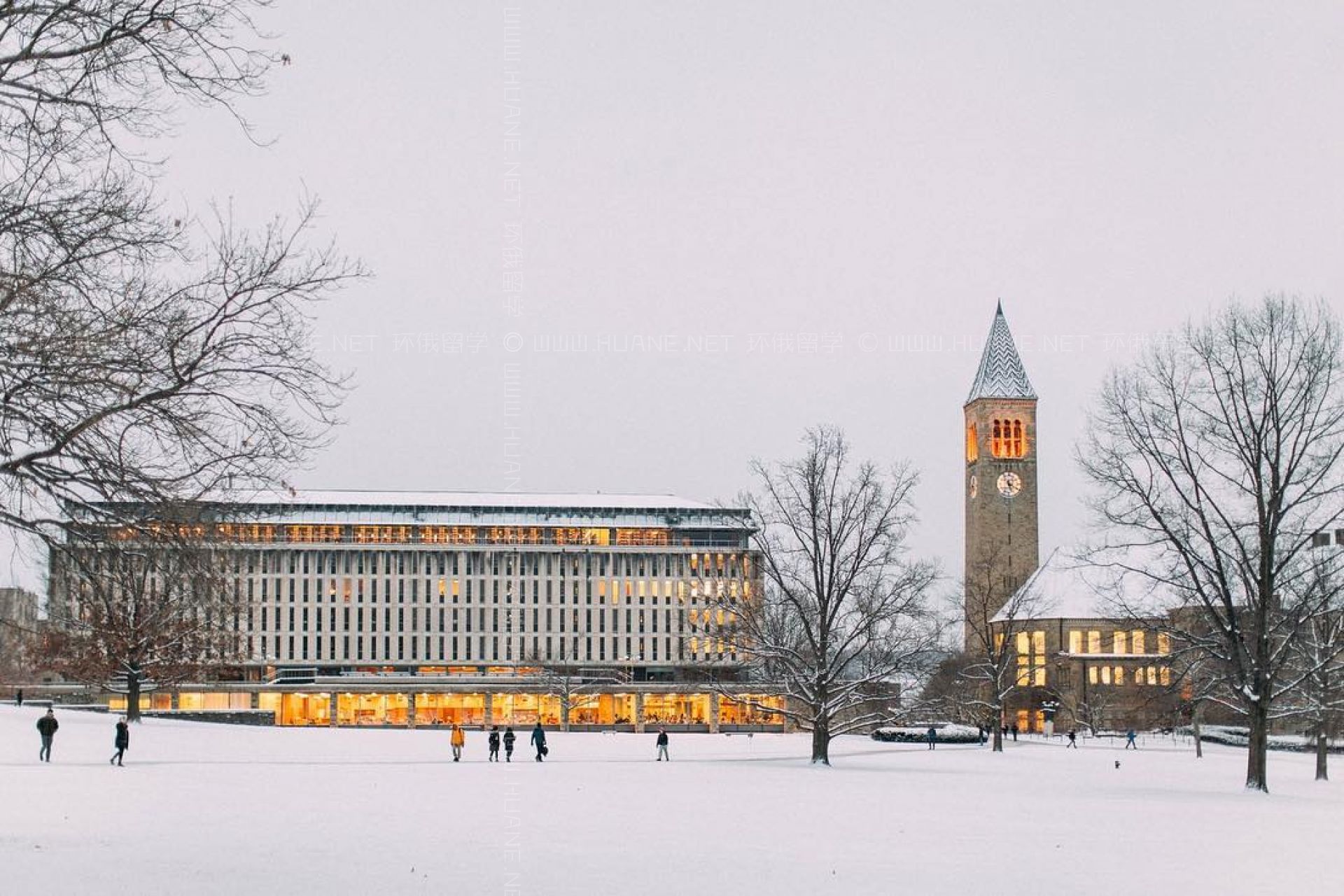 康奈爾大學(xué)