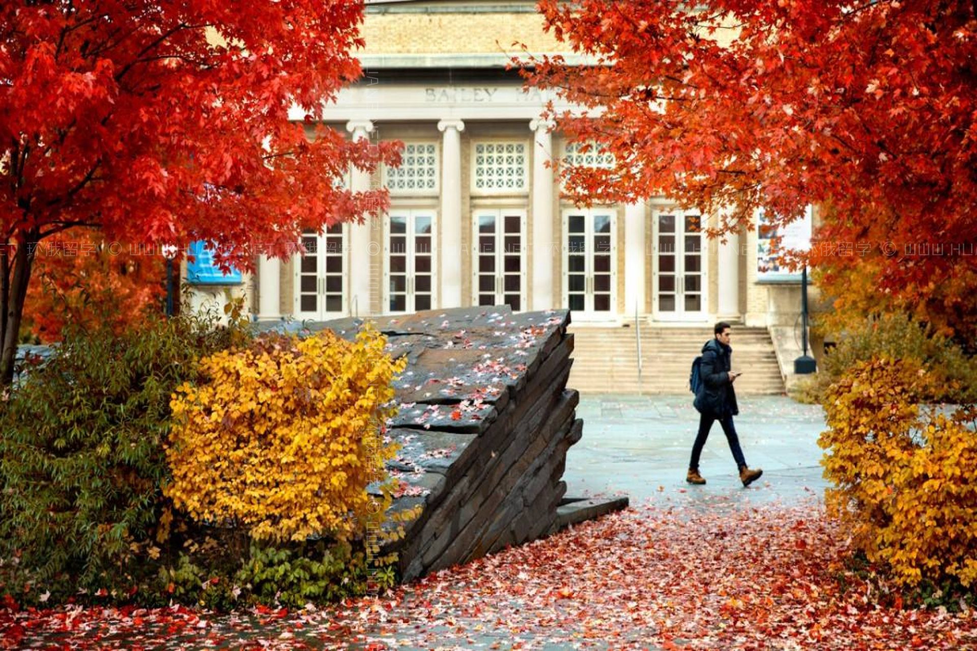 康奈爾大學(xué)