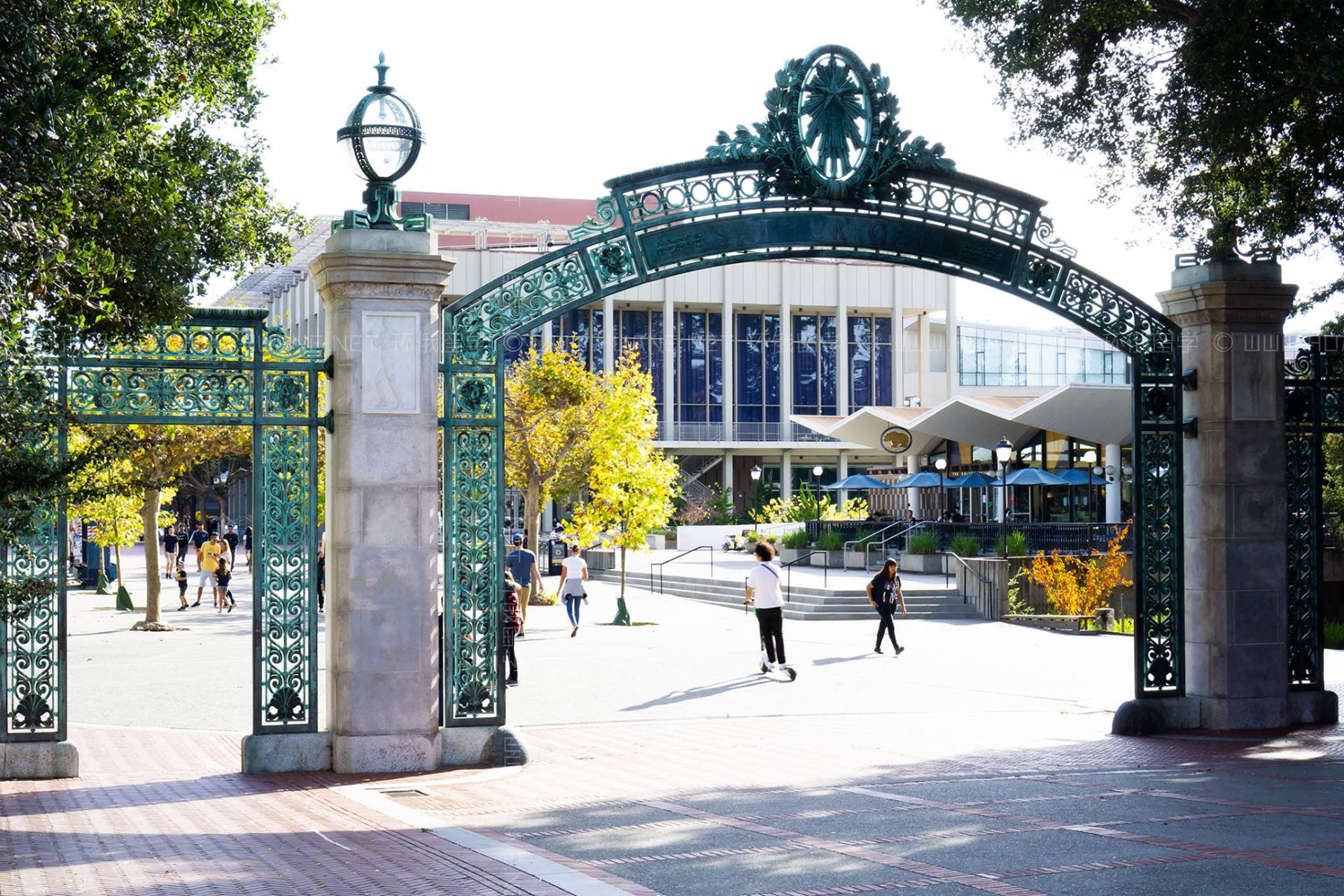 加州大學(xué)伯克利分校