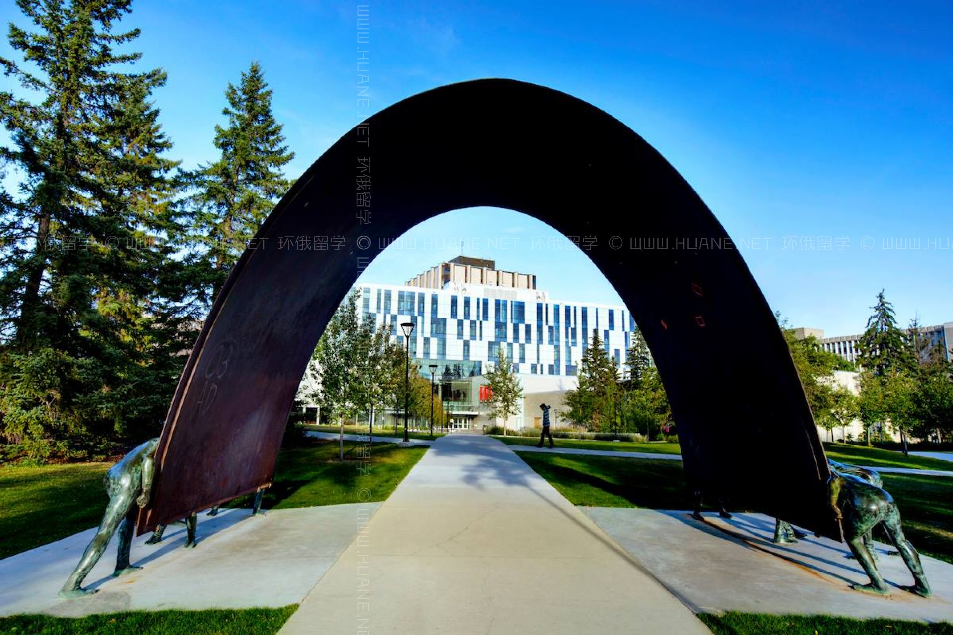 卡爾加里大學(xué)