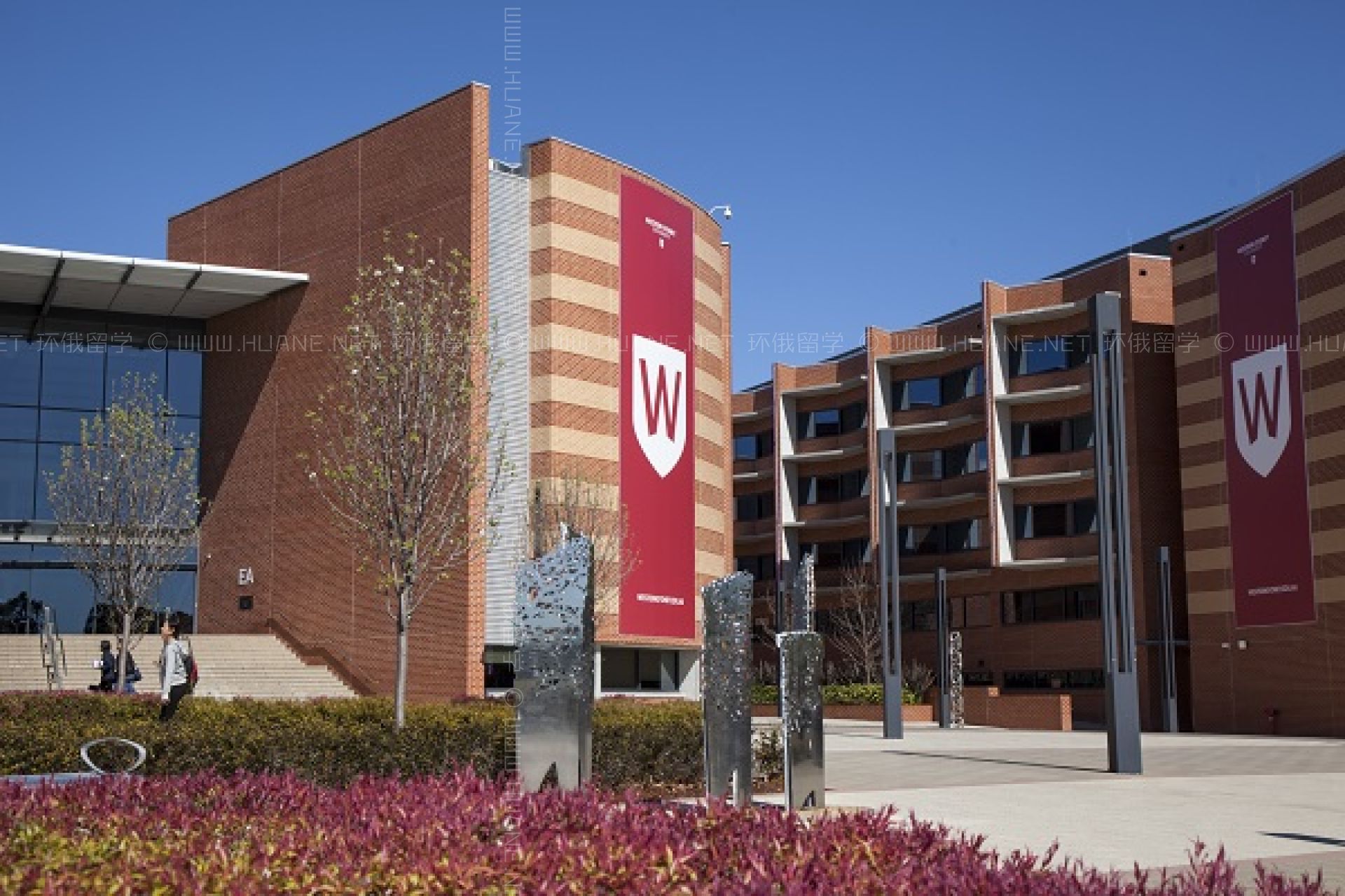 麥考瑞大學