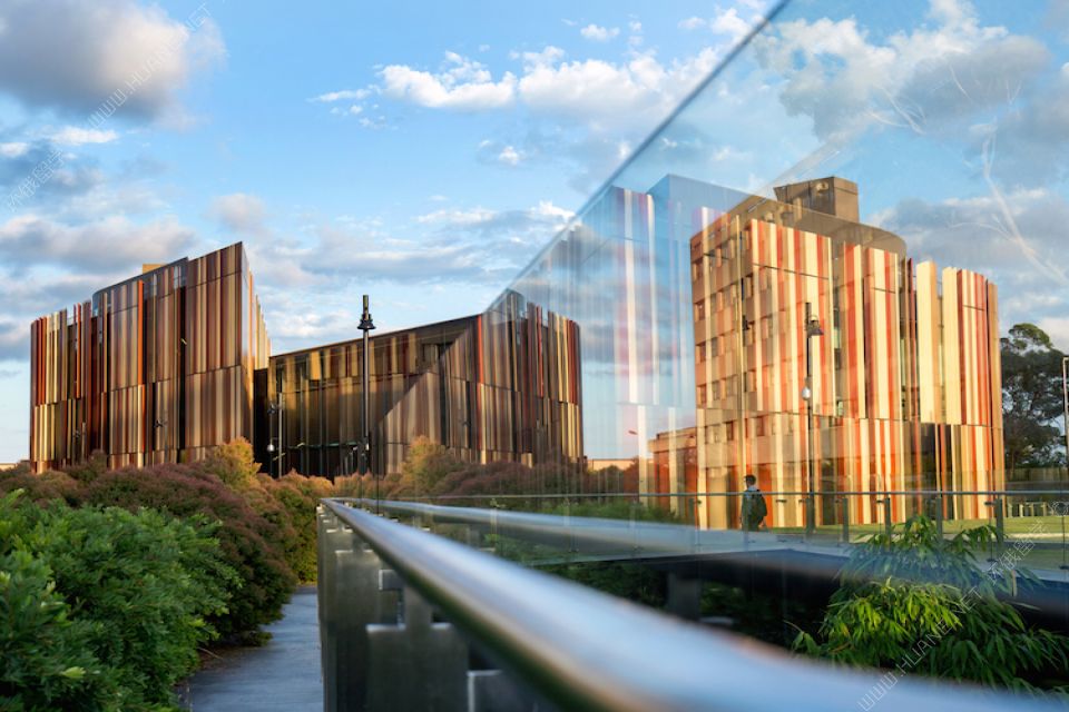 麥考瑞大學