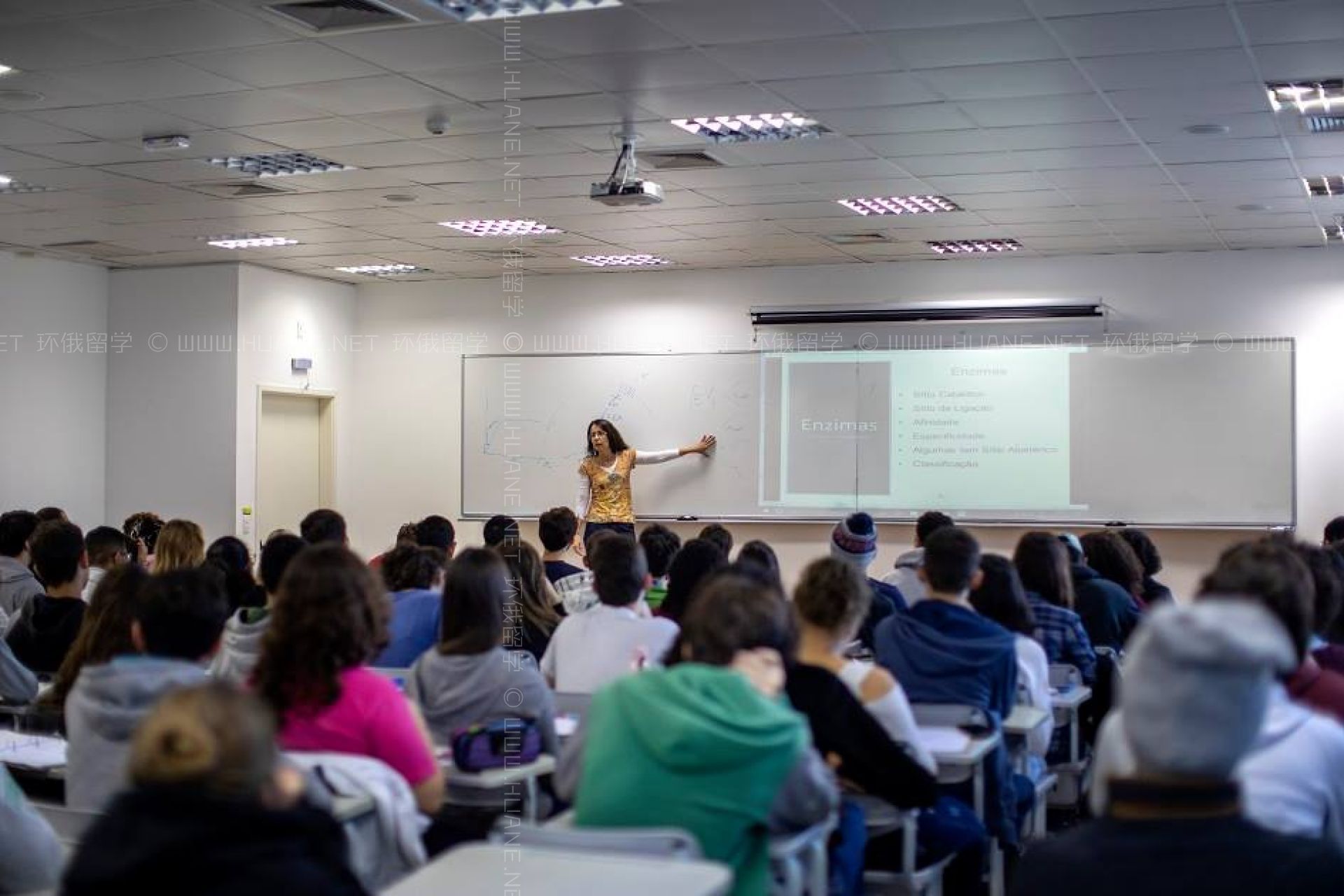 圣保羅聯邦大學