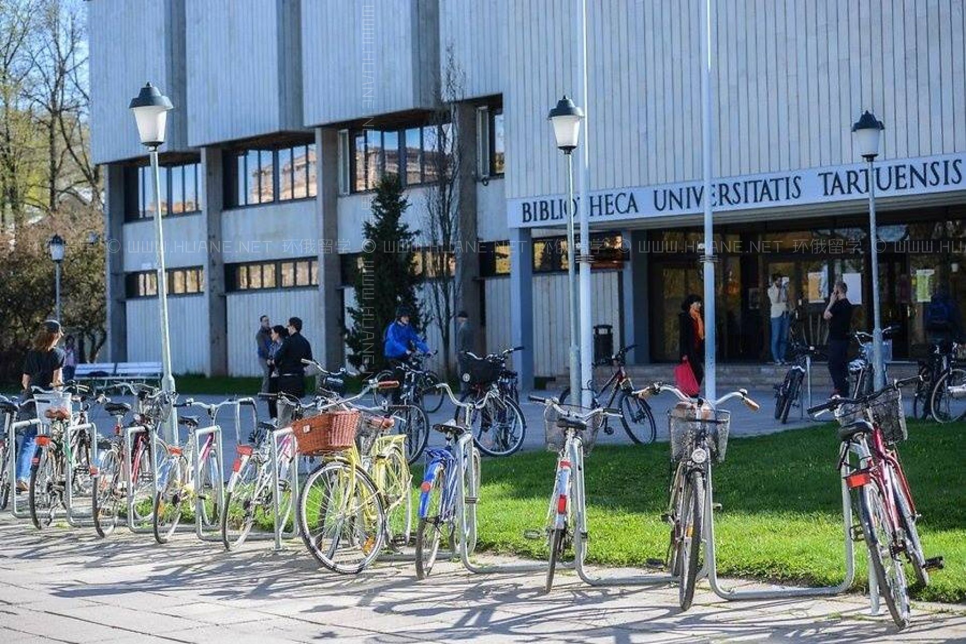 塔爾圖大學