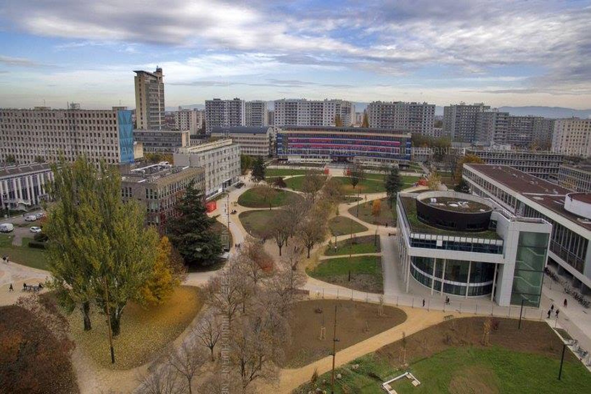 斯特拉斯堡大學