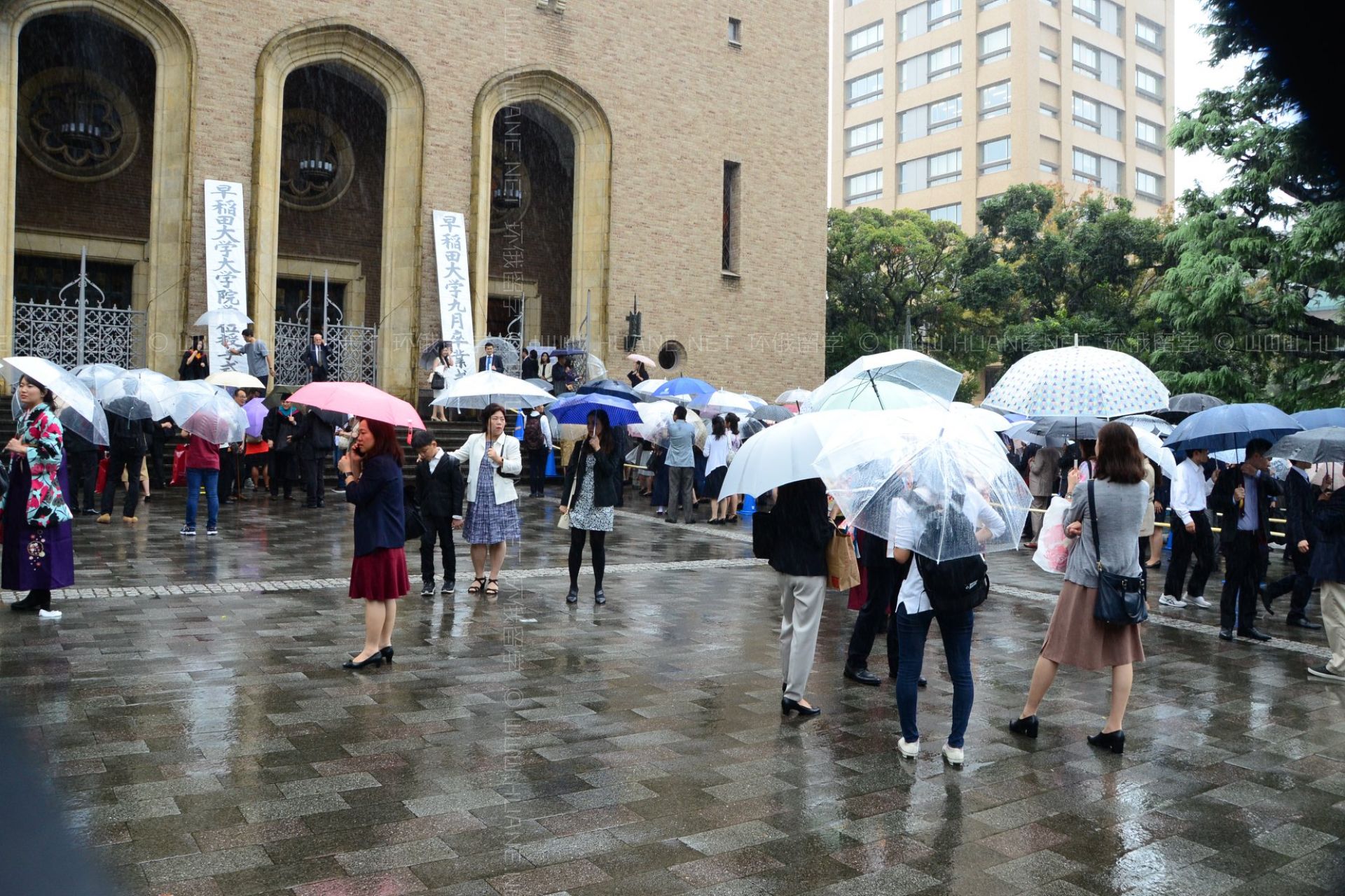 早稻田大學(xué)