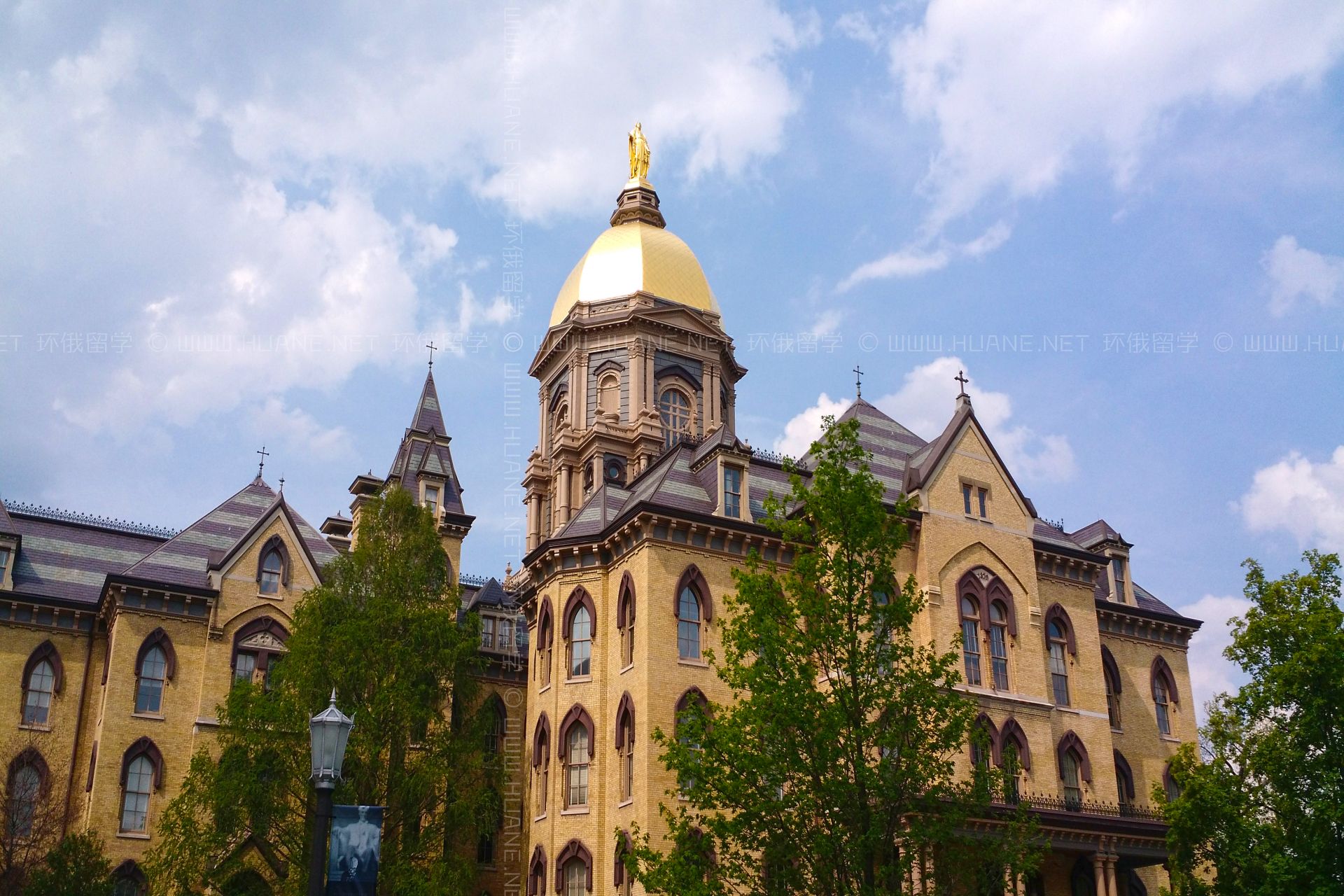 圣母大學