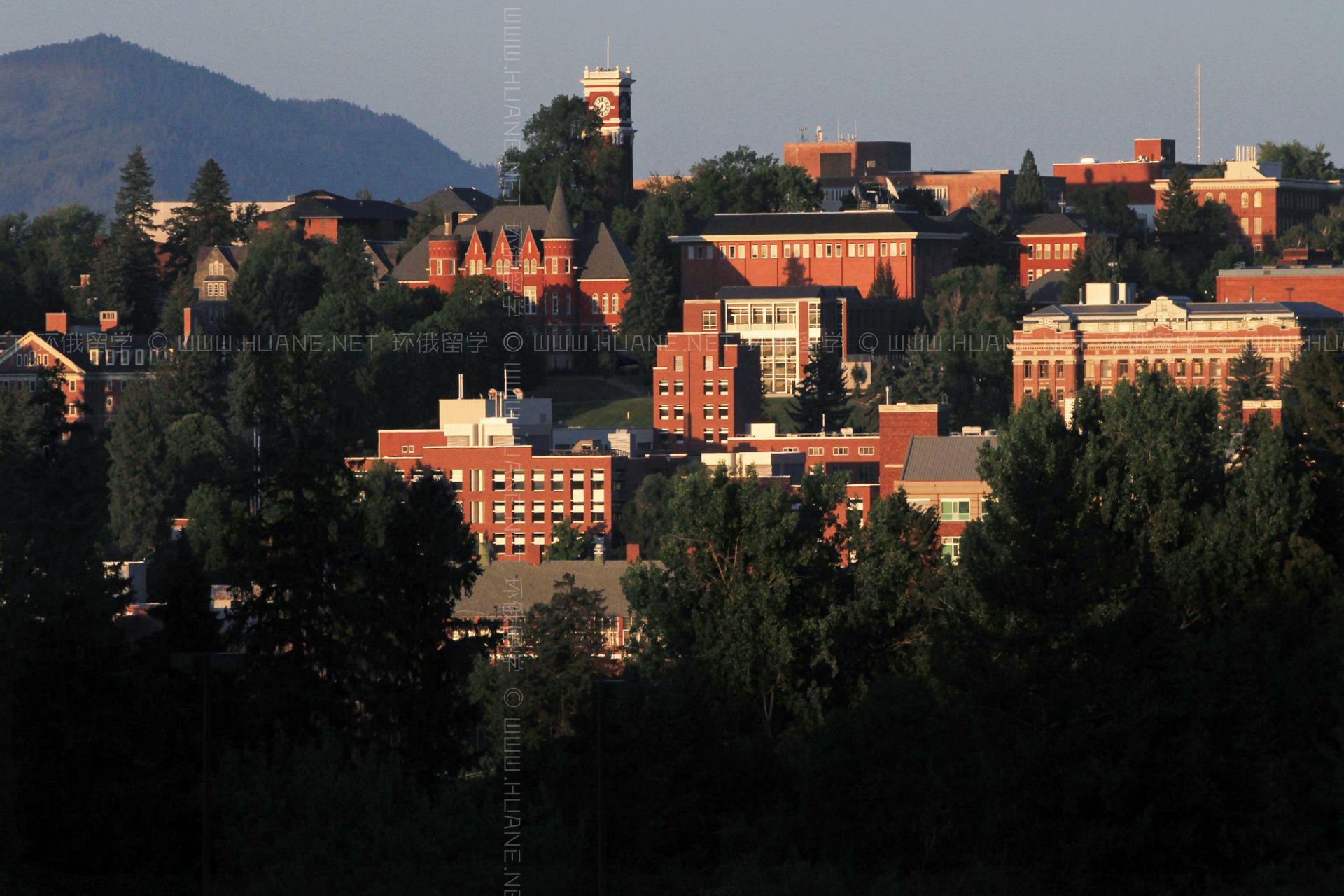 華盛頓州立大學(xué)