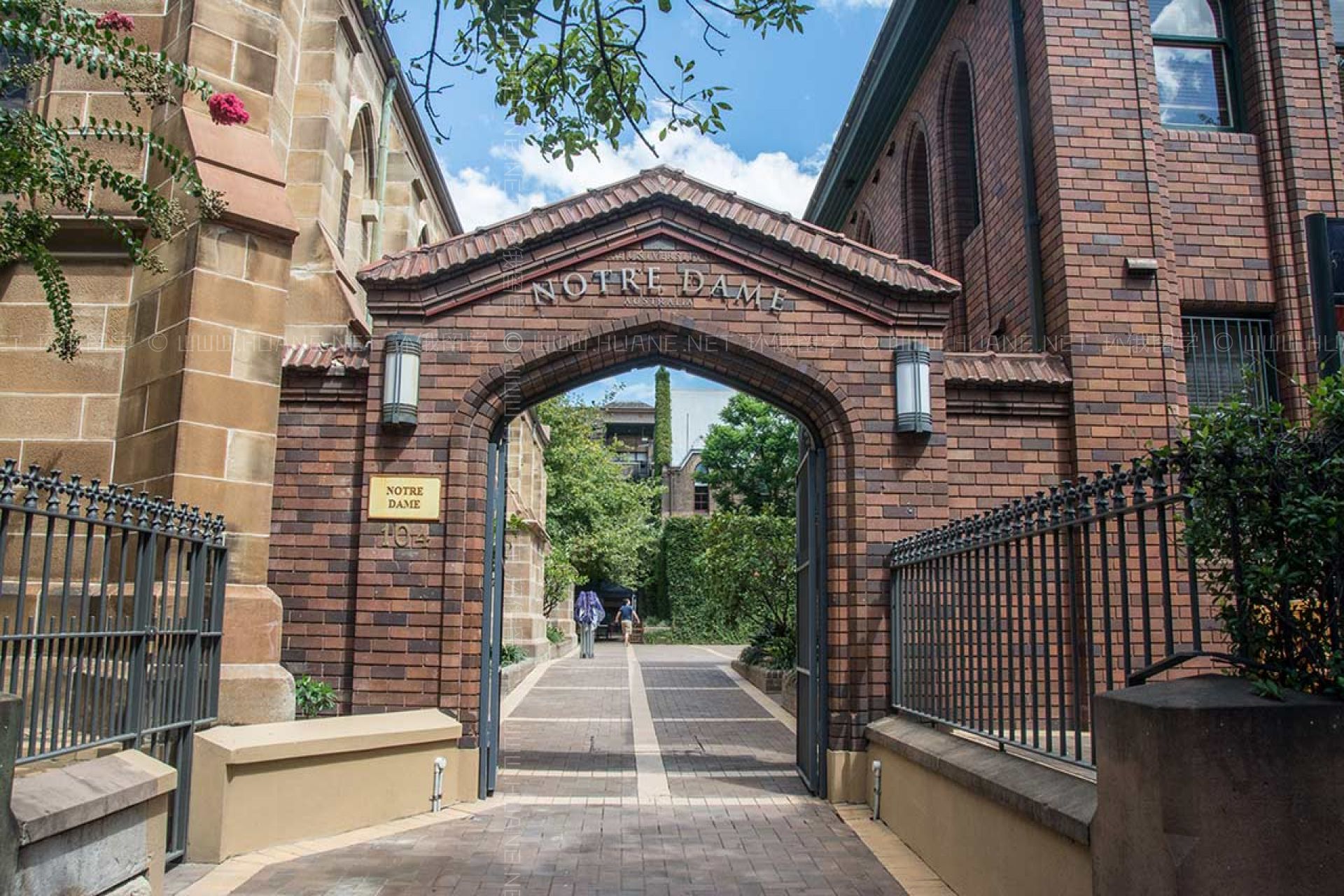 圣母大學