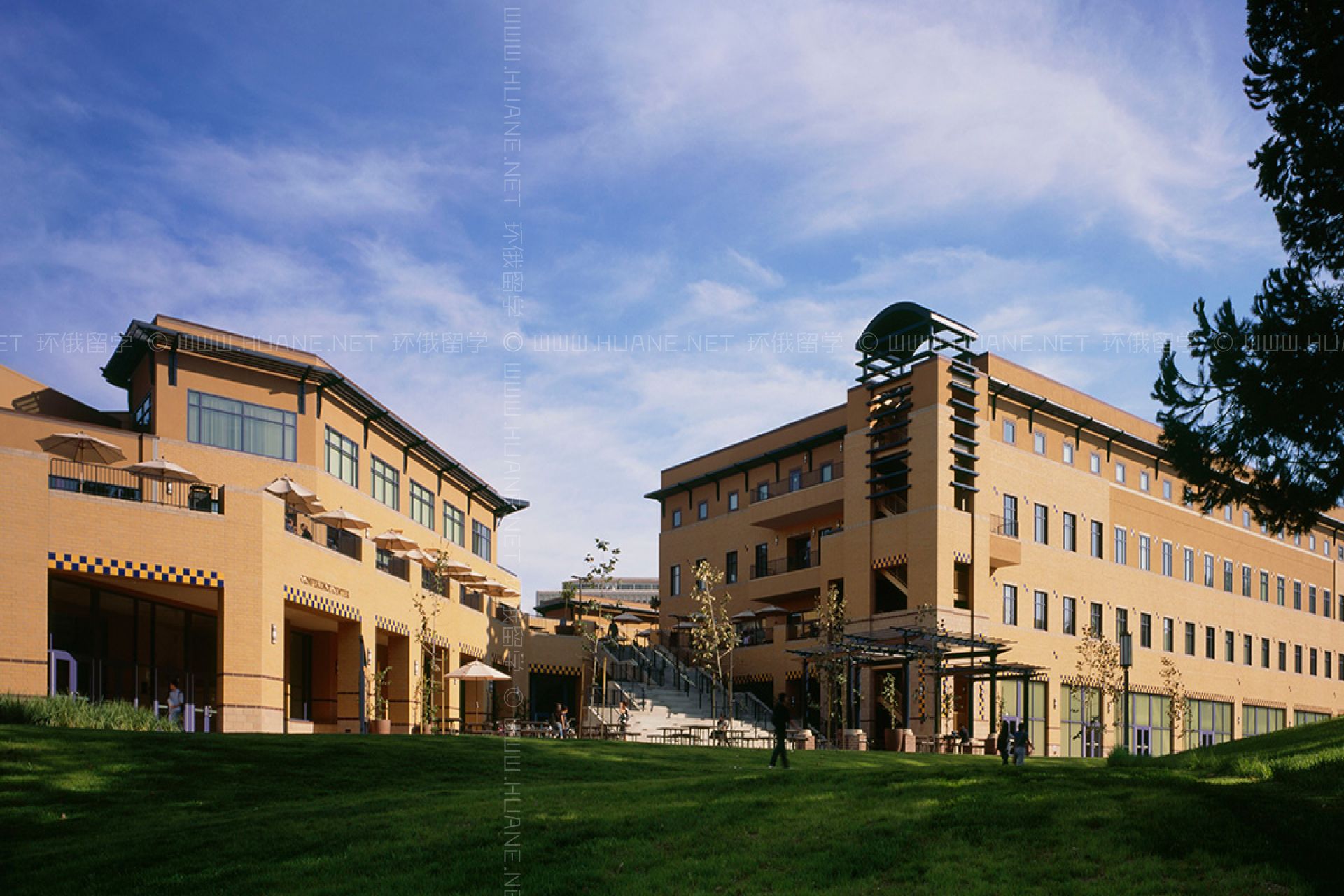 加州大學歐文分校